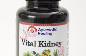 Vital Kidney