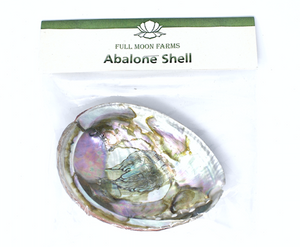 Abalone Shell